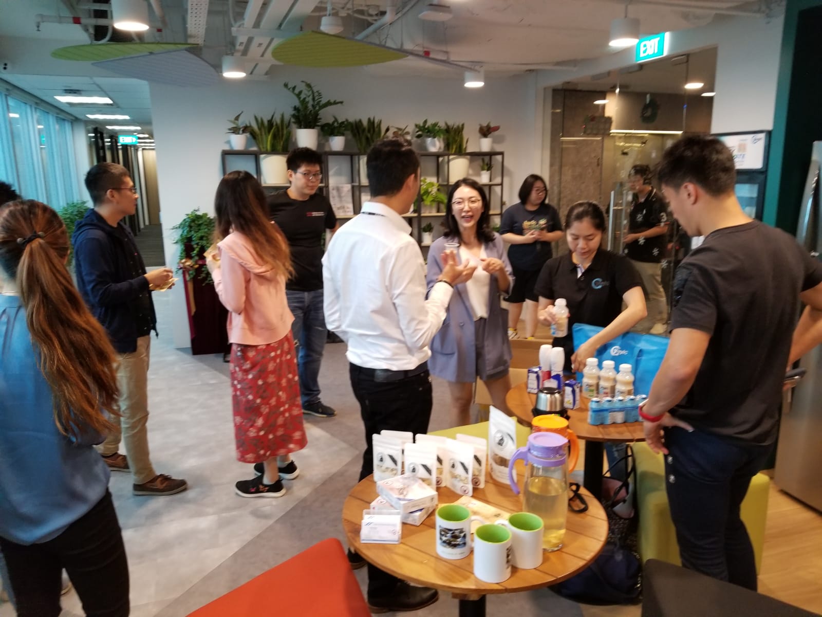 Ginseng and Yogurt tasting