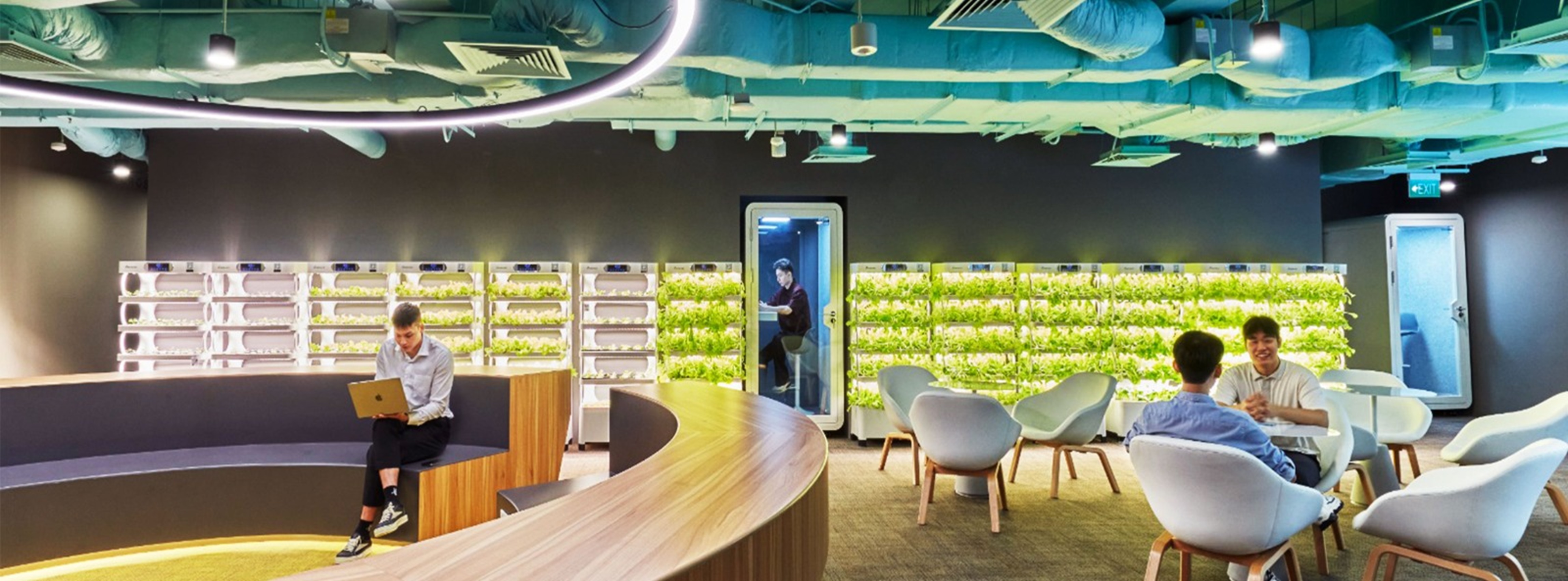 Meeting Rooms